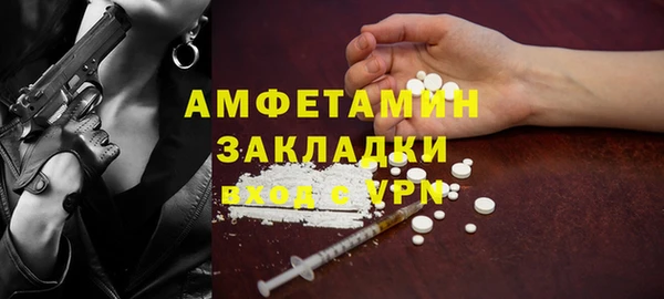 прущие грибы Богданович