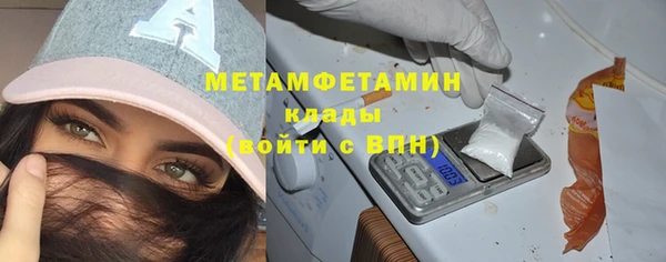 прущие грибы Богданович