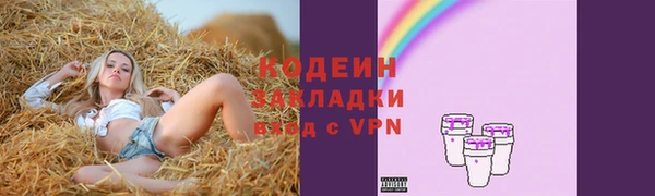 прущие грибы Богданович