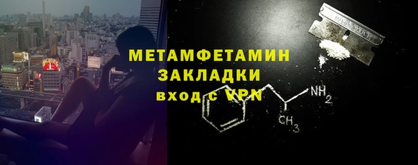 прущие грибы Богданович