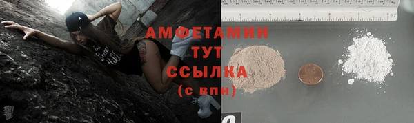 прущие грибы Богданович