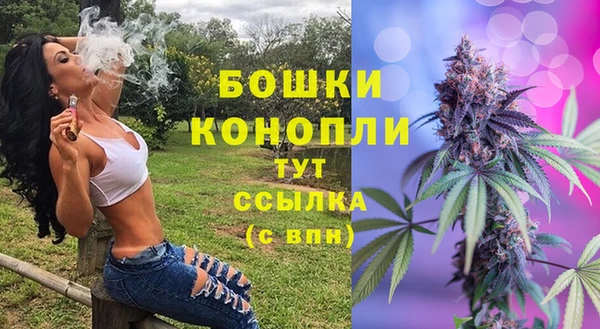 прущие грибы Богданович