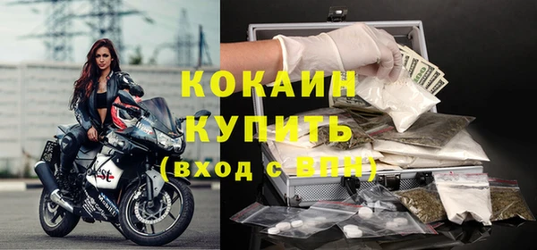 прущие грибы Богданович