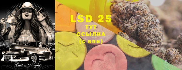 прущие грибы Богданович
