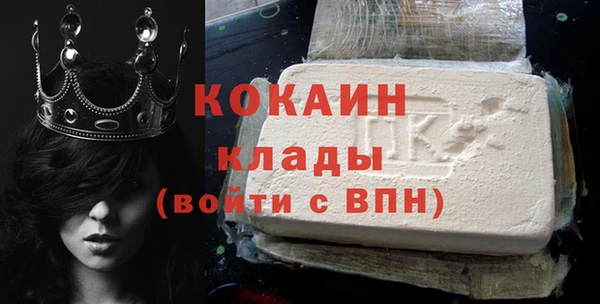 прущие грибы Богданович