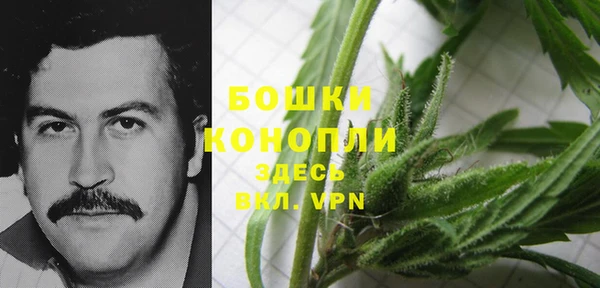 прущие грибы Богданович