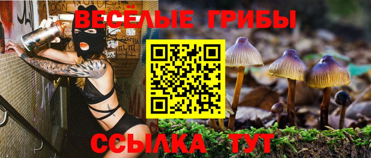 Псилоцибиновые грибы Psilocybine cubensis  Вход с VPN  Видное 